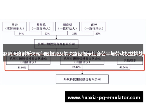 赵鹏深度剖析欠薪问题根源及解决路径揭示社会公平与劳动权益挑战