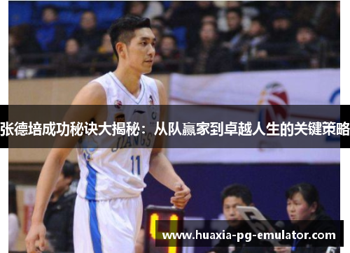 张德培成功秘诀大揭秘：从队赢家到卓越人生的关键策略
