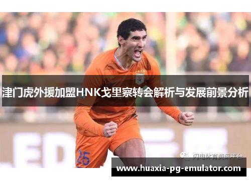 津门虎外援加盟HNK戈里察转会解析与发展前景分析